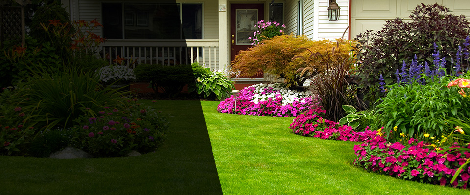Eclectic Landscapers